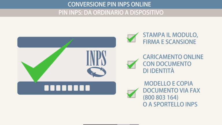 PIN INPS